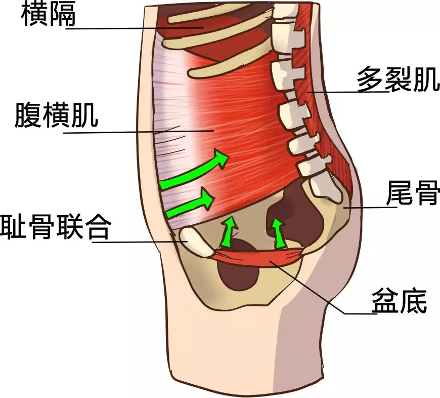 4.保护脊柱.webp.jpg